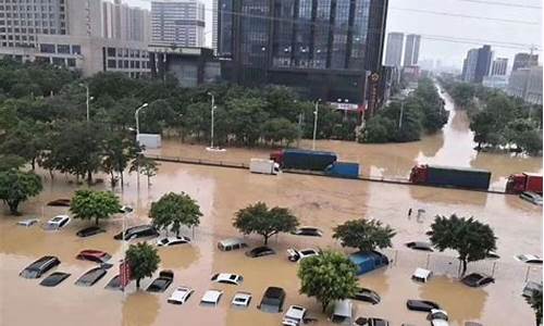 广州大暴雨最新消息_广州大暴雨最新消息视频