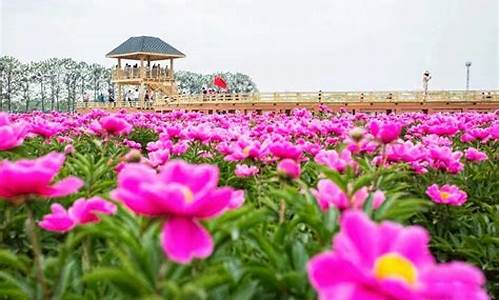 亳州天气谯城区40天_亳州天气谯城区40天预报